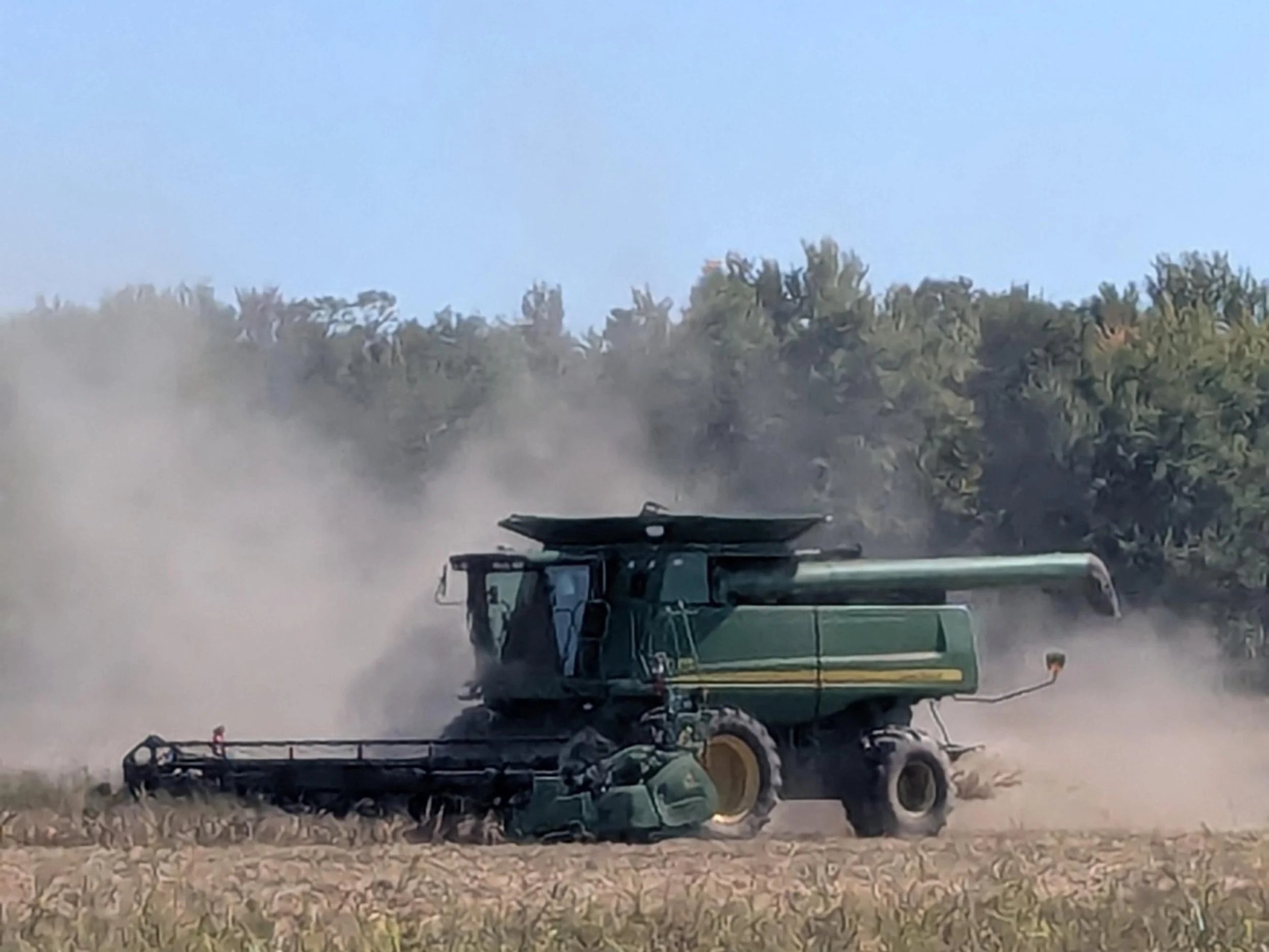 A green combine harvester working in a dusty field, surrounded by trees, during the harvest season.