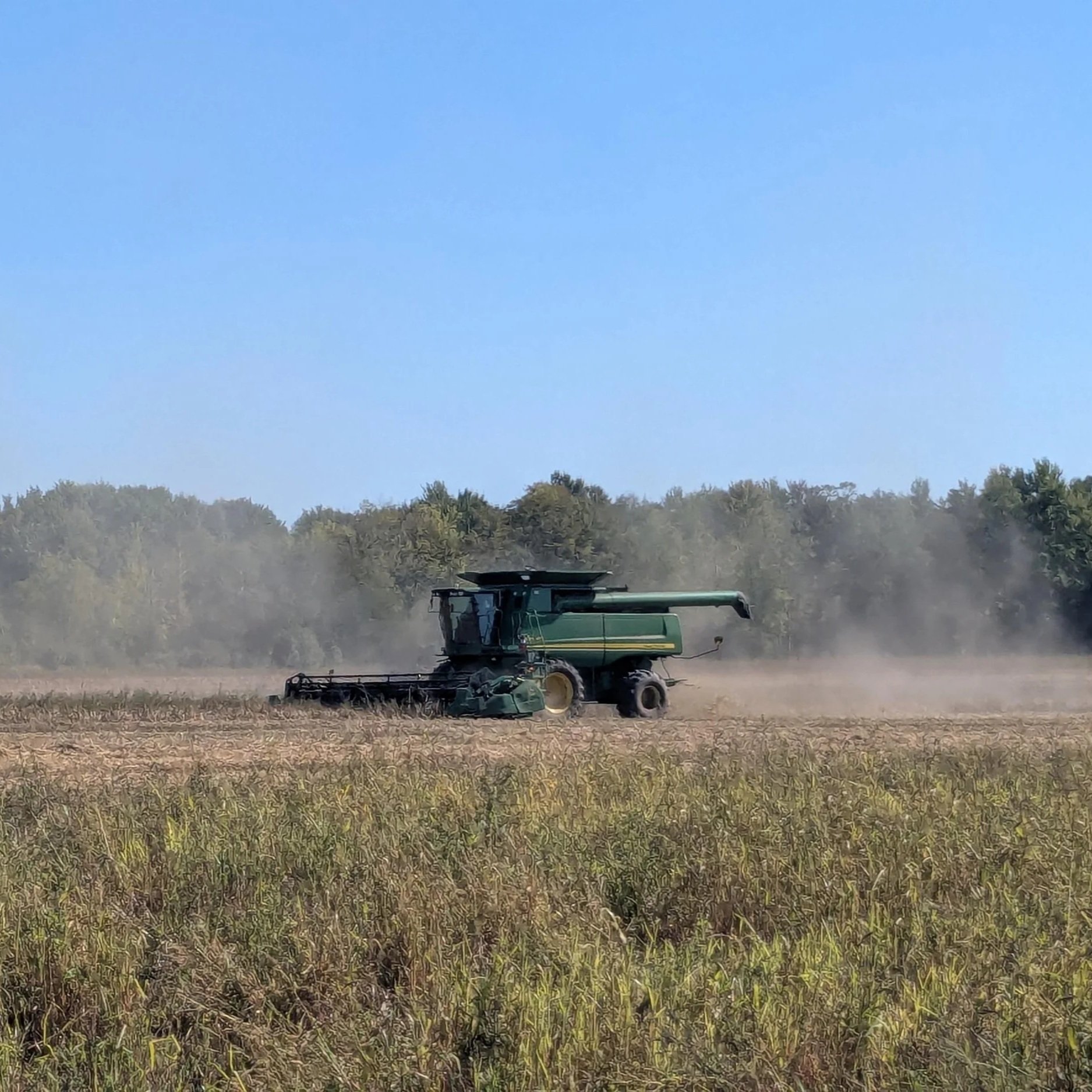 Christine+McAfee+-+combining+black+beans+lower+40+ A green combine harvester working in a dusty agricultural field, surrounded by trees under a clear blue sky.