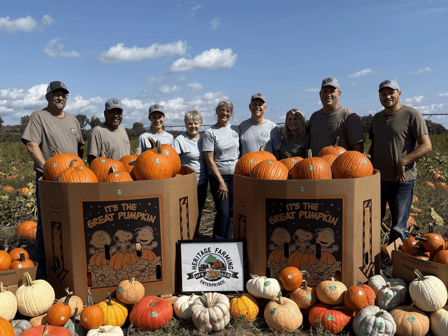 Group of six farmers standing behind large cardboard boxes filled with pumpkins in a pumpkin patch at Heritage Farm. The scene features various pumpkin types, including orange and white varieties, under a clear blue sky, showcasing a vibrant autumn harvest.