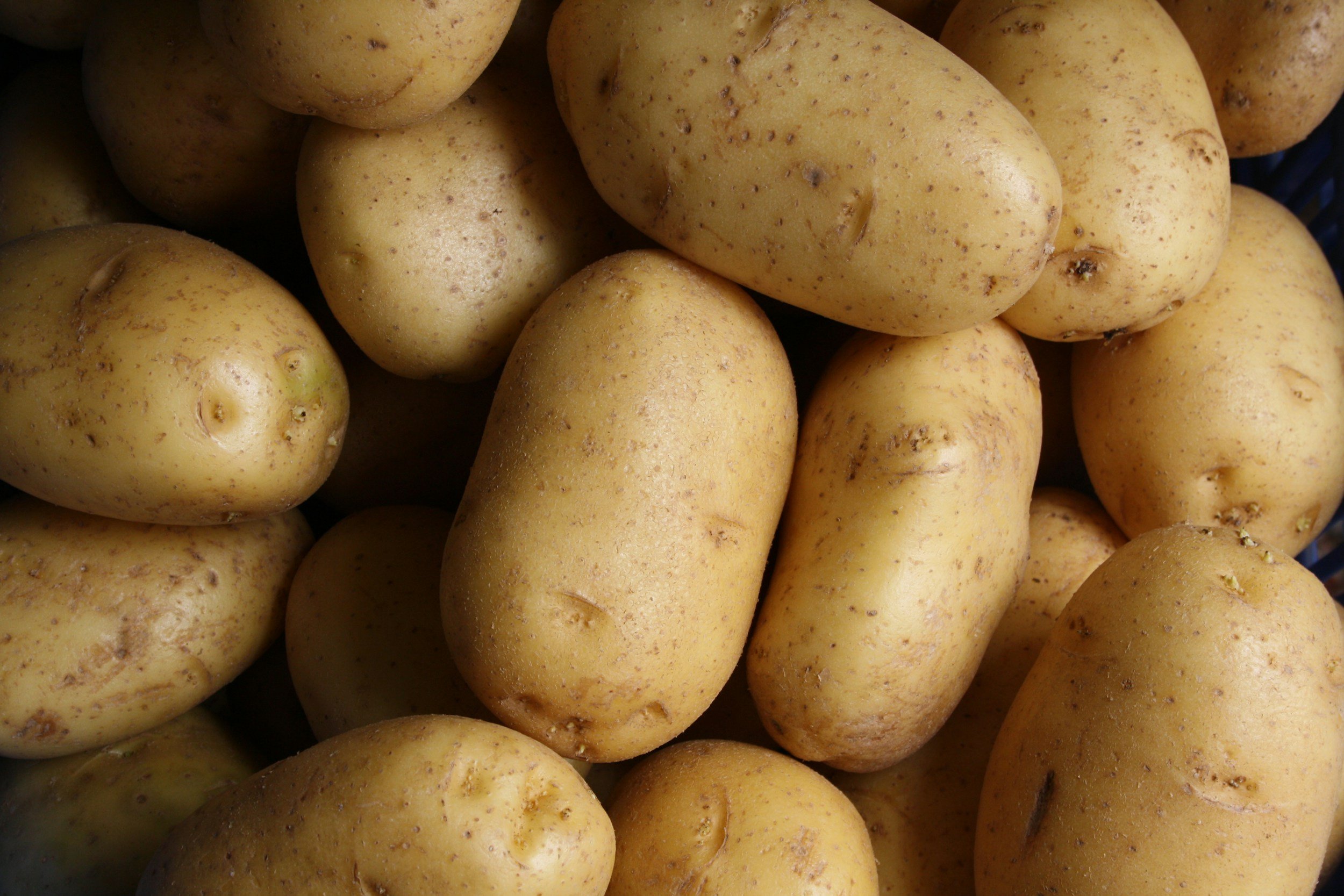 unsplash-image-B0s3Xndk6tw Close-up view of fresh, unpeeled potatoes with a light brown skin, showcasing their natural texture and earthy appearance, ideal for cooking and various recipes.