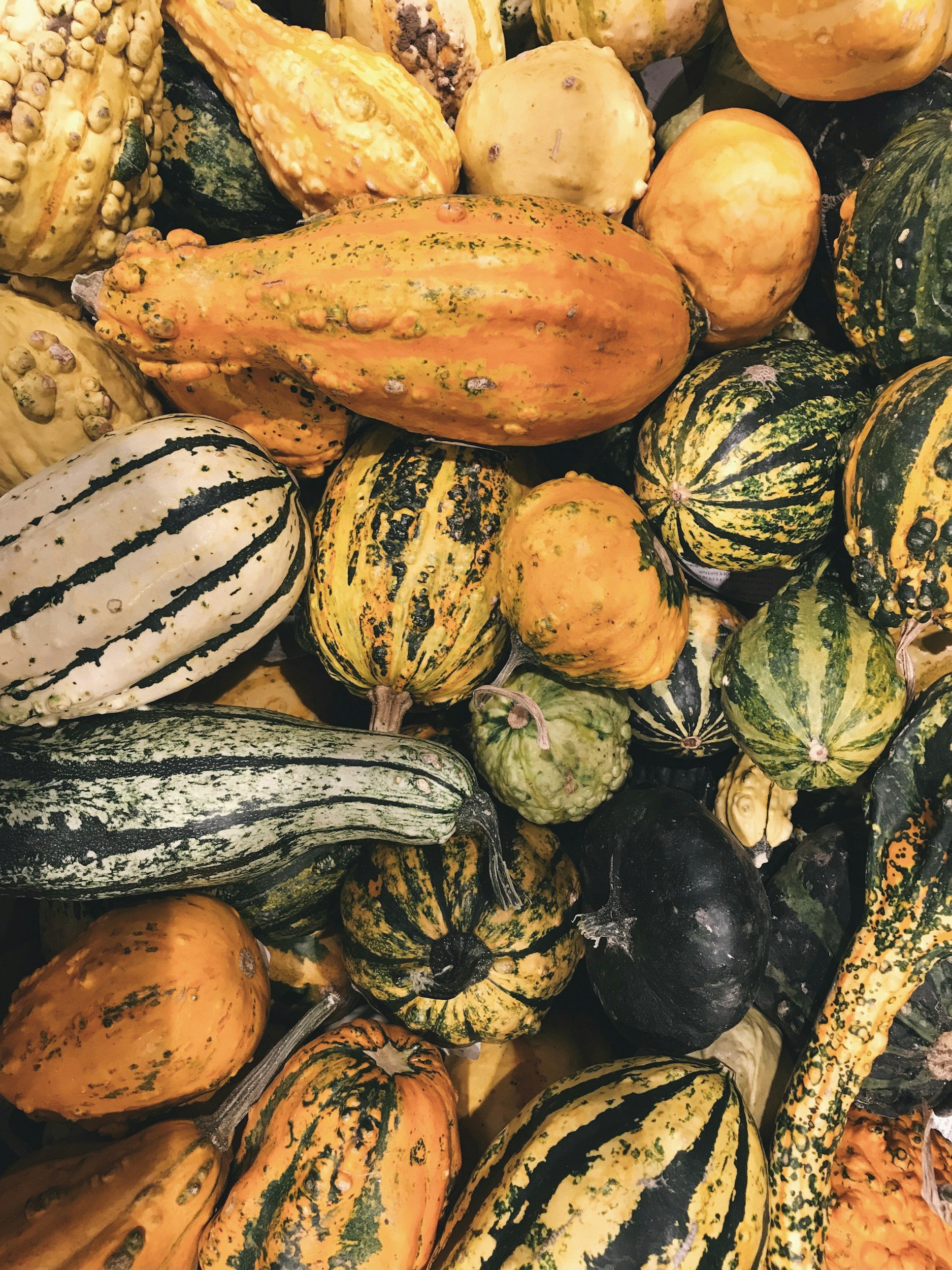 unsplash-image-OmCUSp8o7a4 A variety of colorful squash and gourds in different shapes and sizes, including striped, bumpy, and smooth textures, arranged in a vibrant display.